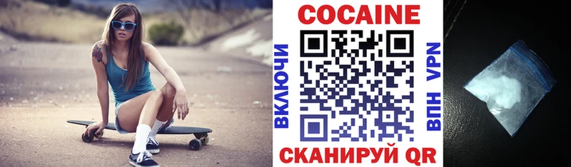 где купить наркотик  Вилючинск  Кокаин Fish Scale 
