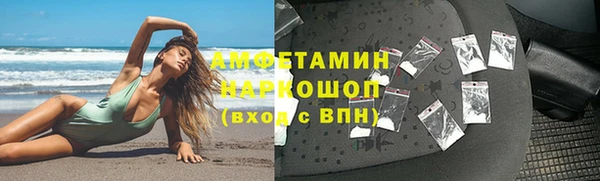 сатива Балахна