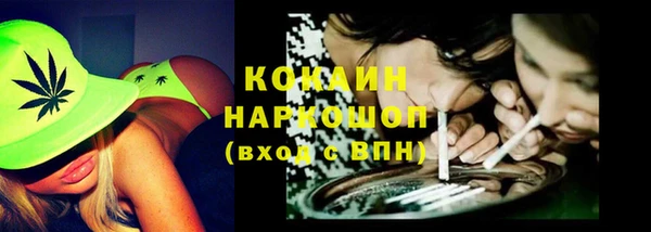 сатива Балахна