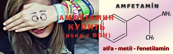 сатива Балахна
