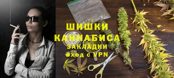 сатива Балахна