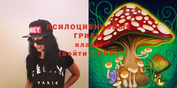 сатива Балахна