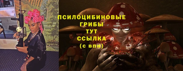сатива Балахна