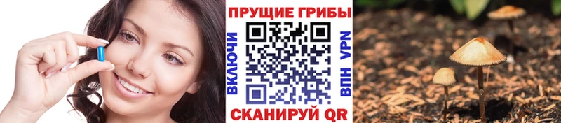 Галлюциногенные грибы Psilocybine cubensis  KRAKEN вход  Вилючинск 