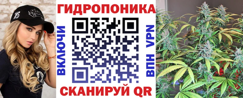 Шишки марихуана сатива  Вилючинск 
